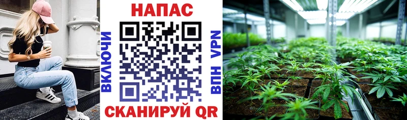 цены наркотик  KRAKEN ССЫЛКА  Канабис планчик  Кириллов 